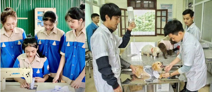 các nghành nghề tại trường