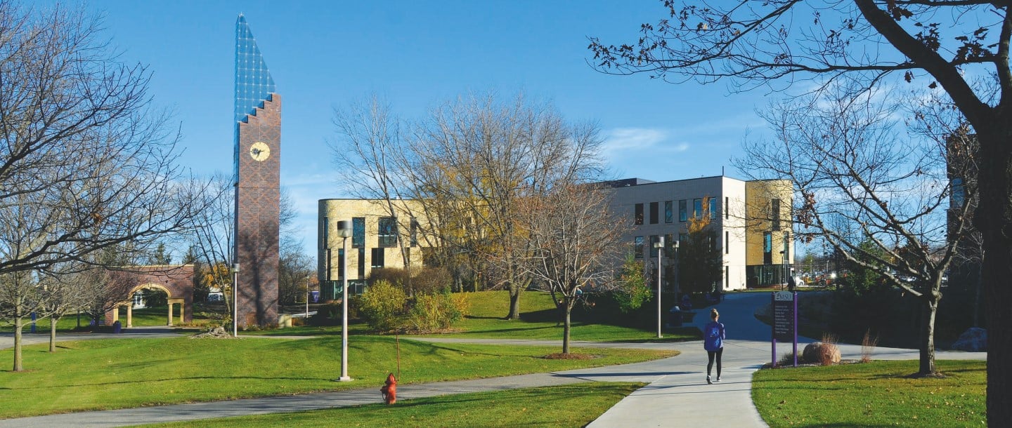 Minnesota State University