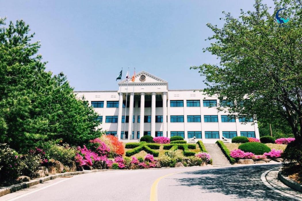 TRƯỜNG CAO ĐẲNG DAEWON